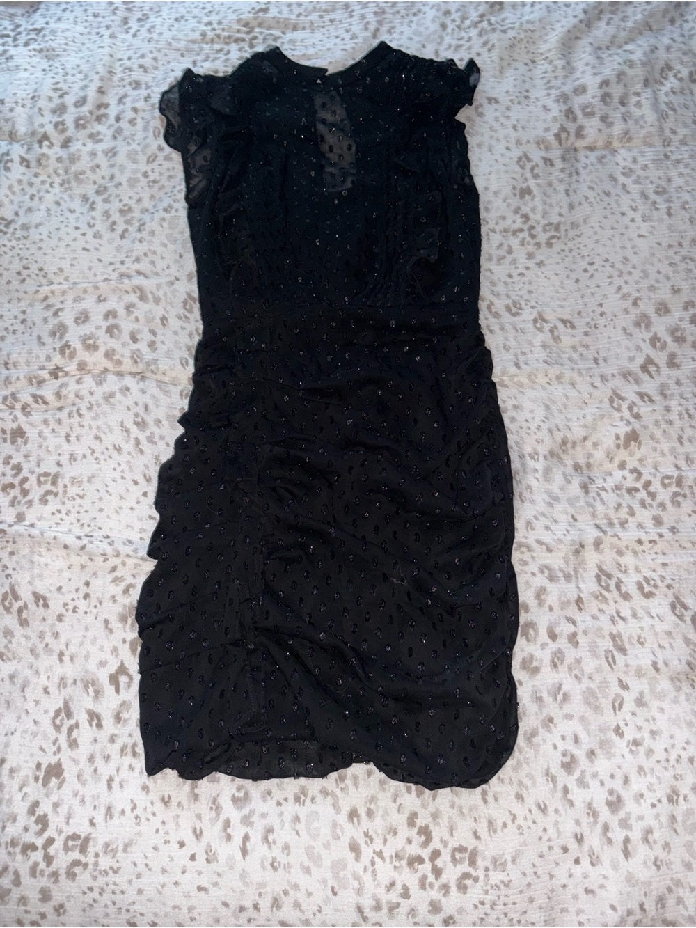 Express Black Sheer Ruffle Mini Dress